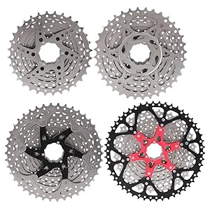 Ruota Libera della velocità per Bici
