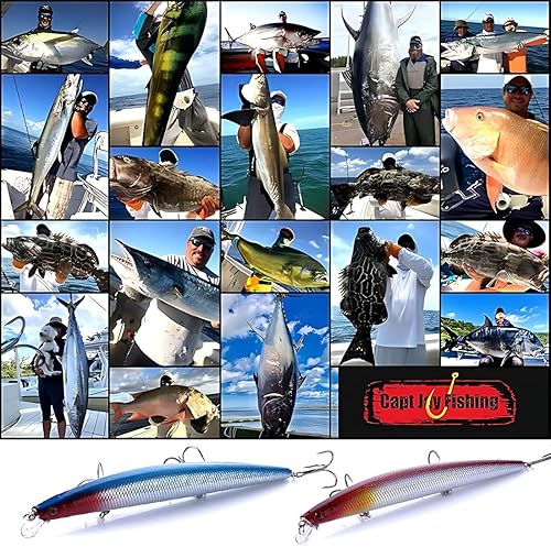 2 Pezzi Artificiali Spinning Mare, Esche Artificiali da Pesca, Esche da Pesca Bionica, Esche Galleggianti da Pesca con Gancio a Drilling per Pesci Predatori - Ysert