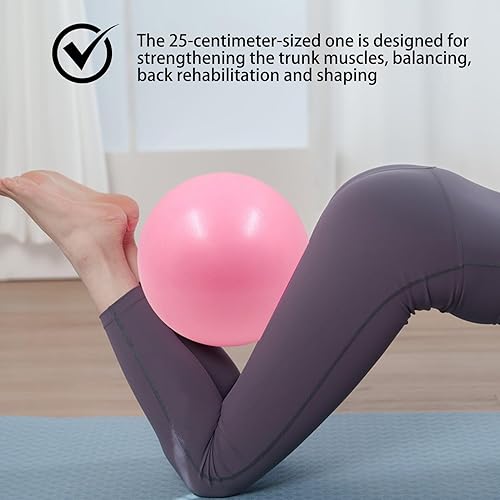 2 Pezzi Set di Palline Pilates 25 cm, Pallone da Ginnastica, Pallone da Yoga, Fitness Ball per Esercizi, Stretching e Riabilitazione, Palline Pilates in Rosa Sakura e Blu Cielo - Ysert