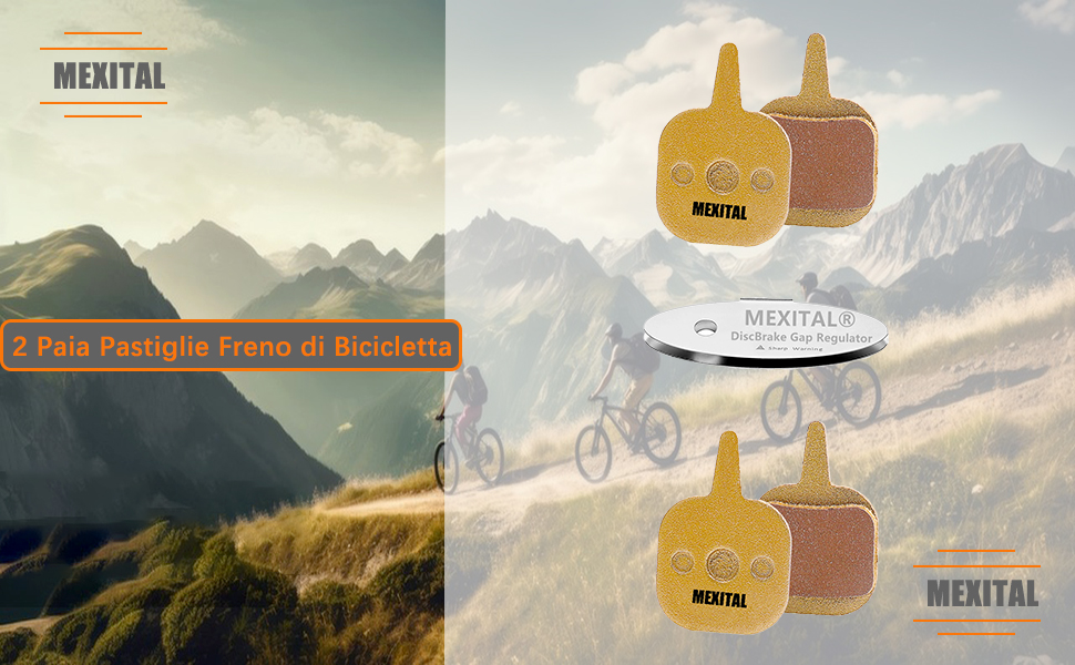 Pastiglie Freno a Disco