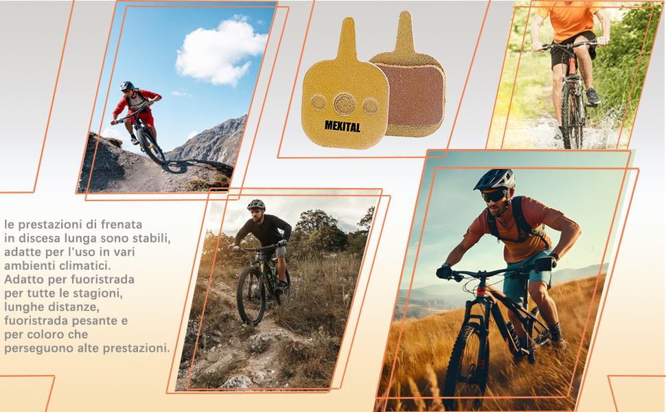 Pastiglie Freno a Disco