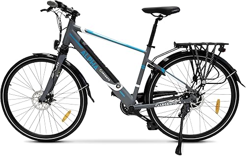 E-Bike Alpha, Motore 250W, Freni a Disco, Batteria 374Wh, Fino a 70km, Schermo LCD, Cambio Shimano 7 Rapporti - Ysert