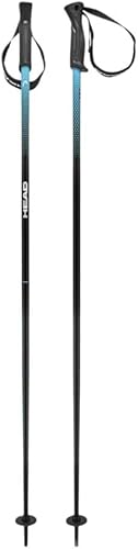 HEAD Bastoncini da sci unisex per adulti, colore nero - Ysert