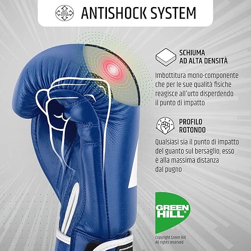 GREEN HILL Guanti Boxe Lion GUANTONI ANTISHOCK Pugilato Pelle - Ysert