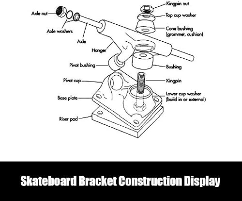 Alomejor 2Pz Skateboard Trucks, Bracke del Ponte da Skateboard Professionale Skateboard Belt Drive Truck per Longboard, Non Includere Le Ruote - Ysert