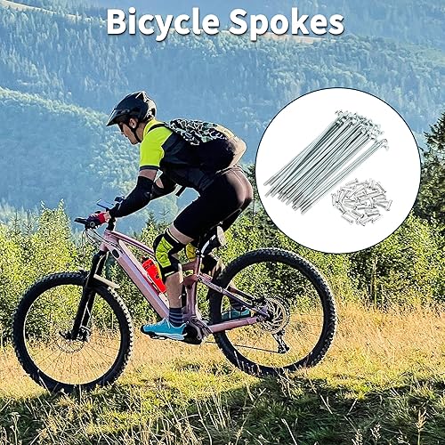 Raggi per Bicicletta Raggi Ruota Bici Argento Nipple 1 Set 14G 80mm Lunghezza Acciaio al Carbonio Zincato - Ysert