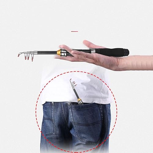 Canna da Pesca Telescopica, Canna da Pesca Portatile Mini Pocket Canna da Pesca Canna da Pesca Canna da Pesca Sul Ghiaccio Mini Strumenti per la Pesca in Mare 28049-100, Canna da Jigging(1M) - Ysert