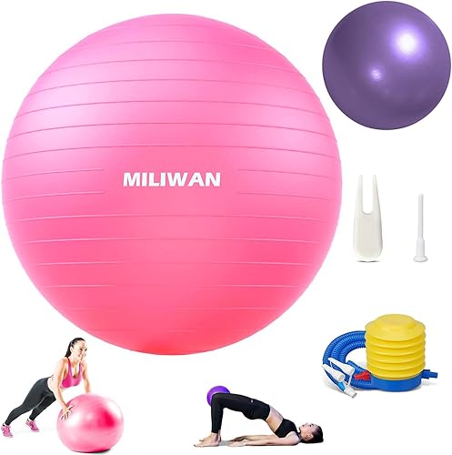 Palla Fitness e Palla Pilates Set di 2 Palle 65cm e 25cm Palla da Ginnastica per Fitness Yoga e Pilates Incluso il Gonfiatore - Ysert