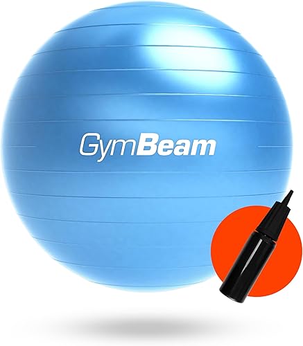 Fit Ball 65 cm, Palla Fitness per Migliorare Stabilità, Equilibrio e Postura, Ideale Palla Pilates per Alleviare Mal di Schiena, con Pompa Inclusa - Ysert