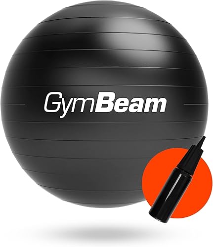 Fit Ball 65 cm, Palla Fitness per Migliorare Stabilità, Equilibrio e Postura, Ideale Palla Pilates per Alleviare Mal di Schiena, con Pompa Inclusa - Ysert