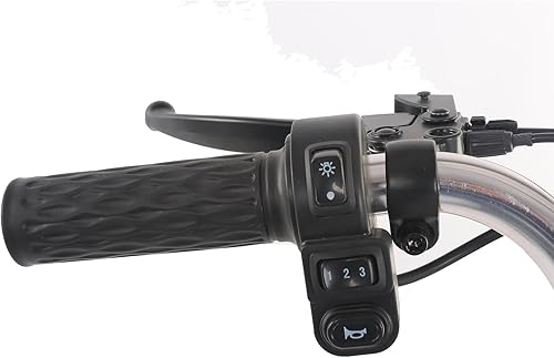 cysum Triciclo Elettrico Pieghevole, 16 pollici Tricycle E Bike per adulti uomo donna, bici elettrica da carico, batteria da 48 V 22 Ah, bici elettrica a 3 ruote - Ysert