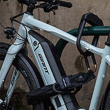 220x220 E-DX Schließumfang.jpg