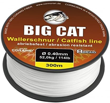 Big Cat Catfish Line (300 m//8 scomparti Bianco intrecciato) - Ysert