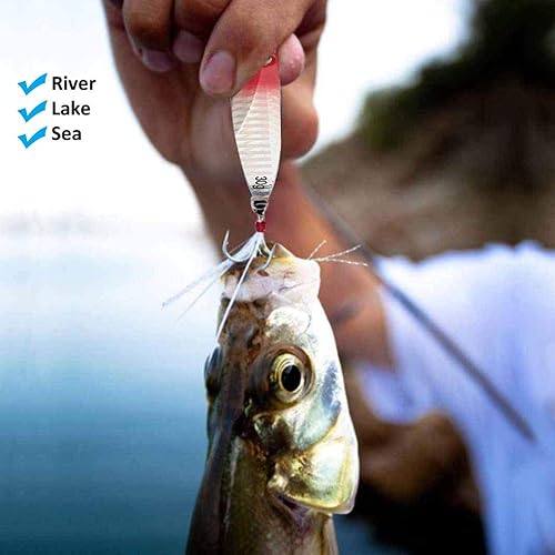 Set di 6 esche da pesca, in Metallo Cucchiai da Pesca con Piuma per Trota con ami alti, Esche Duro in Plastica Artificiali Esche Set per Acqua Dolce Salata - Ysert
