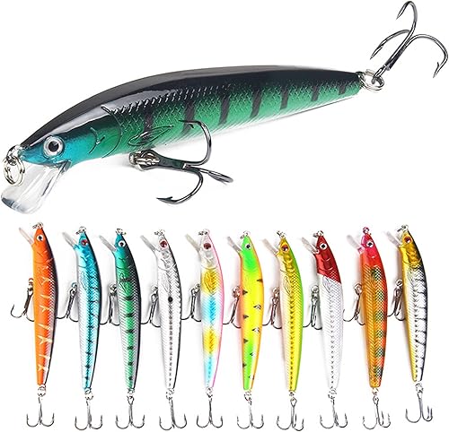 Esche da Pesca, 10 Kit di Esche da Pesca, Artificiale Pesca Richiamo Set, Esche Artificiali 3D Forma di Sanguinerola da Pesca, Attrezzatura di Pesca Esche Artificiali Perfetto per Pesca - Ysert