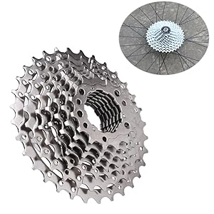 Ruota Libera della velocità per Bici