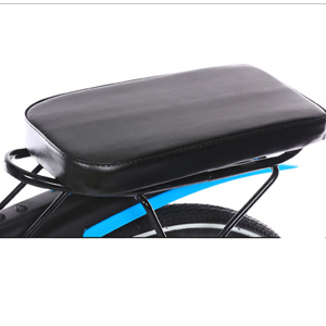 Bicicletta pieghevole