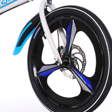 Bicicletta pieghevole