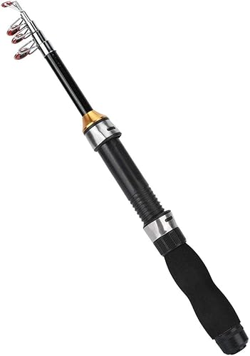 Canna da Pesca Telescopica, Canna da Pesca Portatile Mini Pocket Canna da Pesca Canna da Pesca Canna da Pesca Sul Ghiaccio Mini Strumenti per la Pesca in Mare 28049-100, Canna da Jigging(1M) - Ysert
