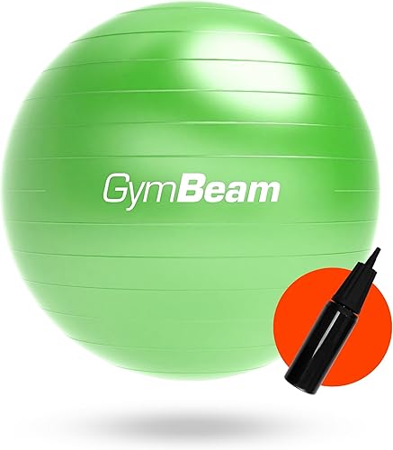 Fit Ball 65 cm, Palla Fitness per Migliorare Stabilità, Equilibrio e Postura, Ideale Palla Pilates per Alleviare Mal di Schiena, con Pompa Inclusa - Ysert