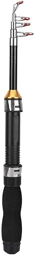 Canna da Pesca Telescopica, Canna da Pesca Portatile Mini Pocket Canna da Pesca Canna da Pesca Canna da Pesca Sul Ghiaccio Mini Strumenti per la Pesca in Mare 28049-100, Canna da Jigging(1M) - Ysert