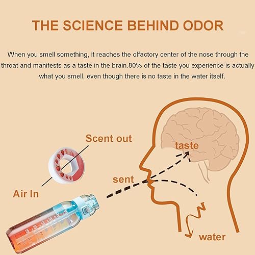 Air Bottiglia d'acqua 1000ml Sport Air Borraccia con 7 Cialde Aromatiche, Senza BPA Borracce Tritan Cialde Aromi Frutta Profumate Borraccia Prova di Perdite Tazza d'acqua con Cannuccia (Rosa) - Ysert