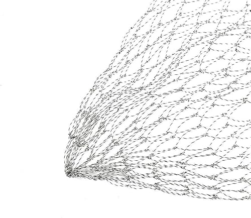 Vbest life Guadino per Pesca a Mosca con Carpa 40/50/60 cm, Ricambio Rete per guadino da Pesca per Attrezzatura da Pesca(50cm) - Ysert