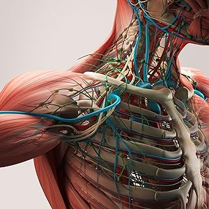 Piattaforma vibrante per fitness